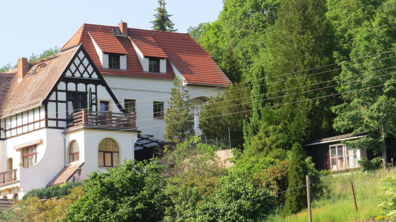Ferienhaus Elbsommer Am Weinberg II Meissen Ngoại thất bức ảnh